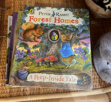 Load image into Gallery viewer, USBORNE PEEP INSIDE BOOK