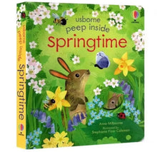 Load image into Gallery viewer, USBORNE PEEP INSIDE BOOK
