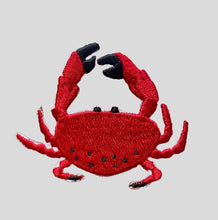 Load image into Gallery viewer, EMBROIDERING IRON - ON PATCH