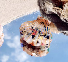 Load image into Gallery viewer, MINI SHELL HAIR CLAW