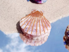 Load image into Gallery viewer, MINI SHELL HAIR CLAW
