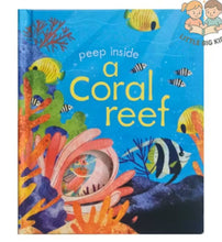 Load image into Gallery viewer, USBORNE PEEP INSIDE BOOK