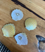 Load image into Gallery viewer, SHELL DISH
