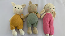Load image into Gallery viewer, BFF SOFTIE / CROCHET TOY
