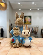 Load image into Gallery viewer, PETTER RABBIT BLUE JACKET
