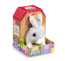 Load image into Gallery viewer, ADDO PITTER PATTER PETS
