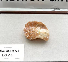 Load image into Gallery viewer, KERANG HAIR CLAW
