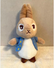Load image into Gallery viewer, PETTER RABBIT BLUE JACKET
