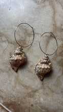 Load image into Gallery viewer, HOLIDAY SHELLS EARRINGS - JEWELRY
